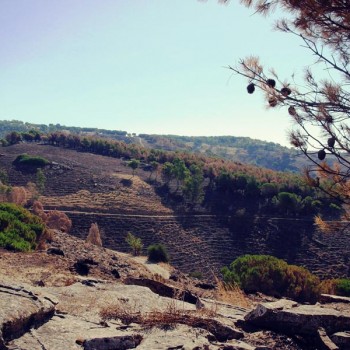 Passeggiata a Monte Manganello